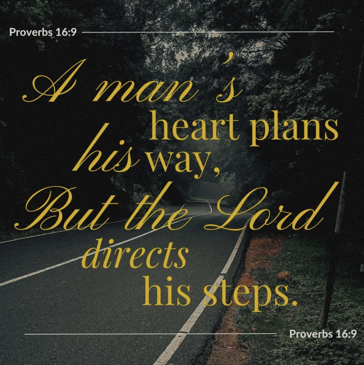 Featured image for “Proverbs 16:9”